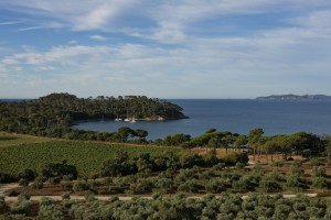 Winery Provence